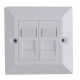 Lanview CAT6 Faceplate Dual Gang UK Reference: W126209561
