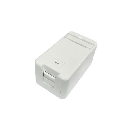 Lanview Surface mount box for 1 x Reference: W125941365