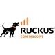Ruckus 24-port 1 GbE switch bundle Référence: W127294466