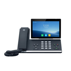 2N IP Phone D7A Référence: W127041783