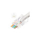 Lanview RJ45 UTP plug Cat6 for Reference: W125960694