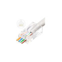 Lanview RJ45 UTP plug Cat6 for Reference: W125960694