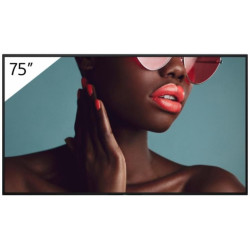 Sony 75 Pro BRAVIA LCD 700nit Haze Reference: W128407226