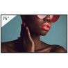 Sony 75 Pro BRAVIA LCD 700nit Haze Reference: W128407226