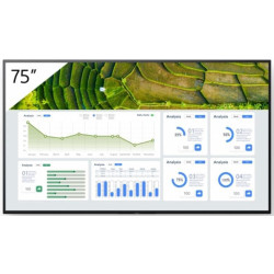 Sony 75 Pro BRAVIA LCD 440nit Reference: W128407234