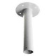 Ernitec Straight Tube 25cm Reference: 0070-10025