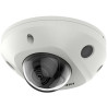 Hikvision Dome,Fixed Lens,IP67IK08,2MP Référence: W127012971