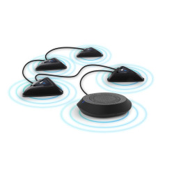 AVer Expansion Microphones Pair Référence: W125744329