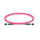 Lanview Fiber Patch Cable - 12 cores Référence: W126918125