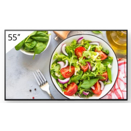 Sony 55 Pro BRAVIA LCD 550nit Référence: W128407232