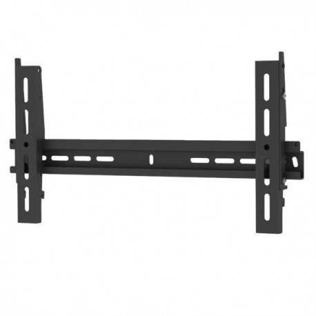 SMS Func Bracky Shorty Référence: FS011075