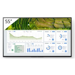 Sony 55 Pro BRAVIA LCD 440nit Reference: W128407221