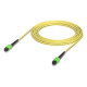 Ubiquiti Indoor OS2 single-mode fiber Référence: W129042624