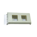 Vivolink Outlet Panel for 2 x Keystone Référence: W129124573