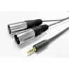 Vivolink 3.5MM CABLE to 2 x XLR male Référence: W127058198
