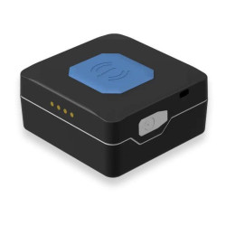 Teltonika TMT250
